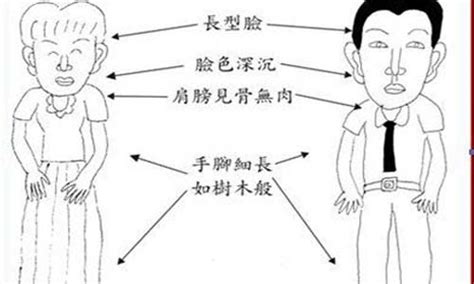 木型人面相|【面相館】五形面相 (木形人、火形人、土形人、金形。